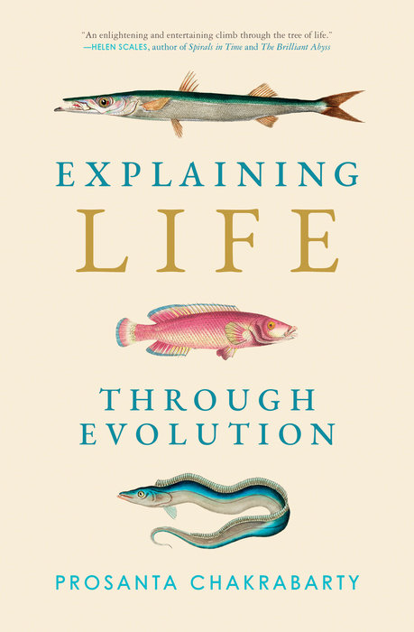 Explaining Life through Evolution