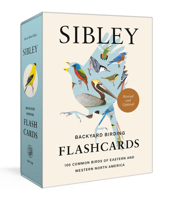 Sibley Backyard Birding Flashcards, Revised and Updated