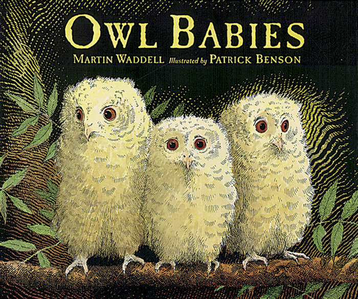 Owl Babies Big Book