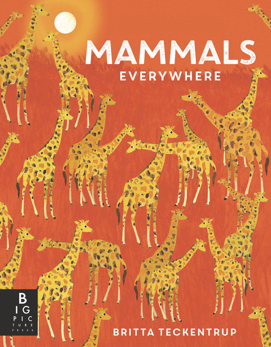 Mammals Everywhere