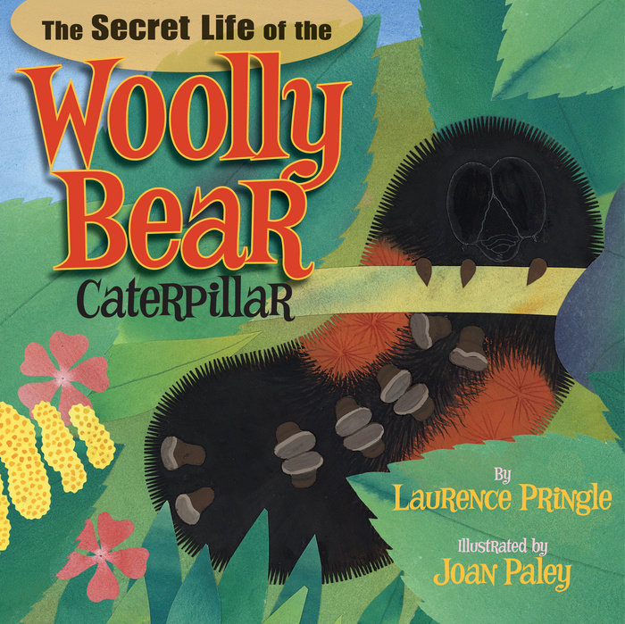 The Secret Life of the Woolly Bear Caterpillar