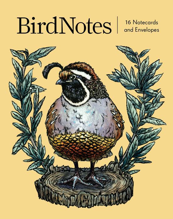 BirdNotes (16 notecards, 8 original designs)