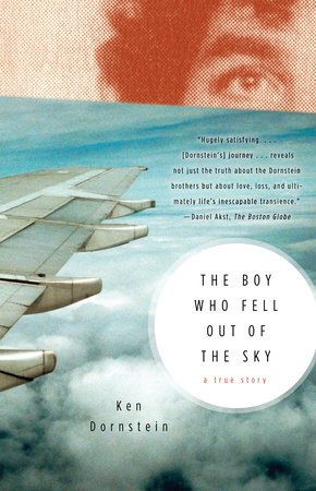 The Boy Who Fell Out of the Sky