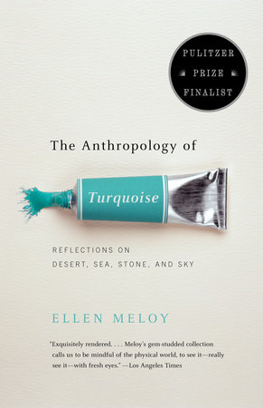 The Anthropology of Turquoise