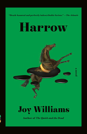 Harrow by Joy Williams
