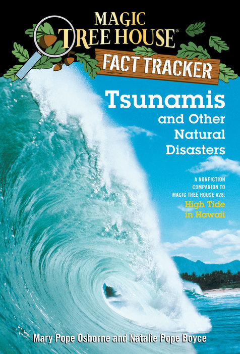 Book cover for Tsunamis and Other Natural Disasters