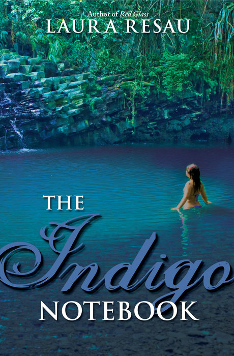 Cover of The Indigo Notebook