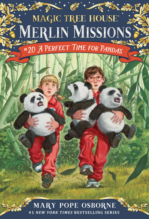 Book cover for A Perfect Time for Pandas