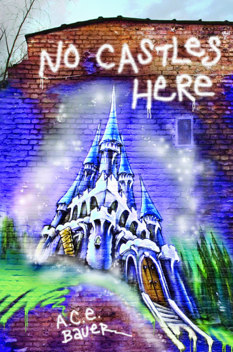 Cover of No Castles Here