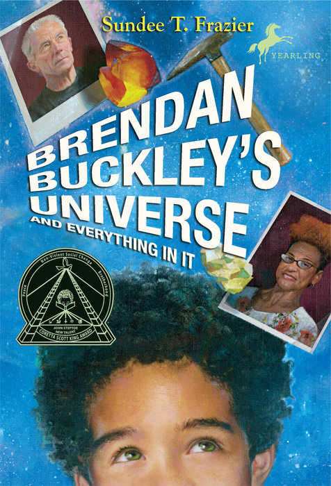 Cover of Brendan Buckley\'s Universe and Everything in It
