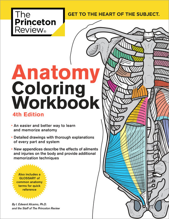 Cover of Anatomy Coloring Workbook, 4th Edition