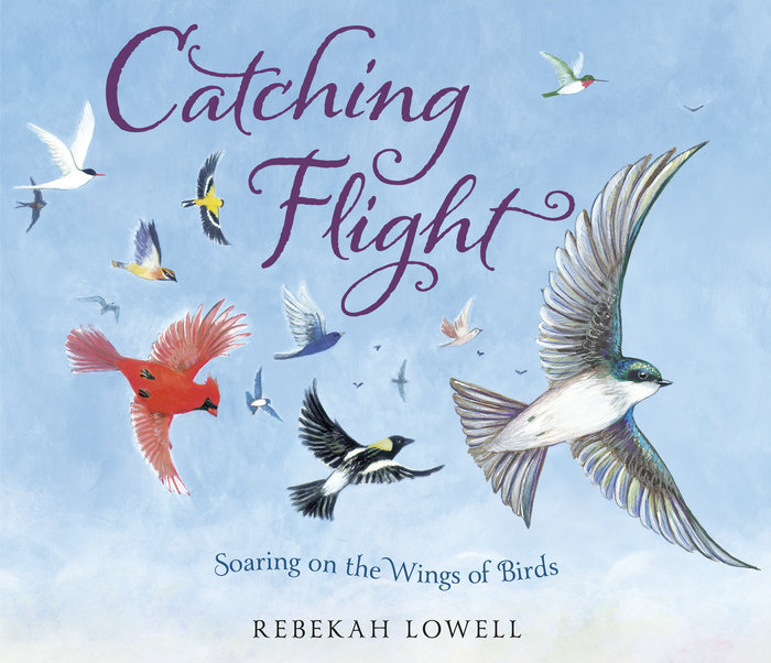 Cover of Catching Flight