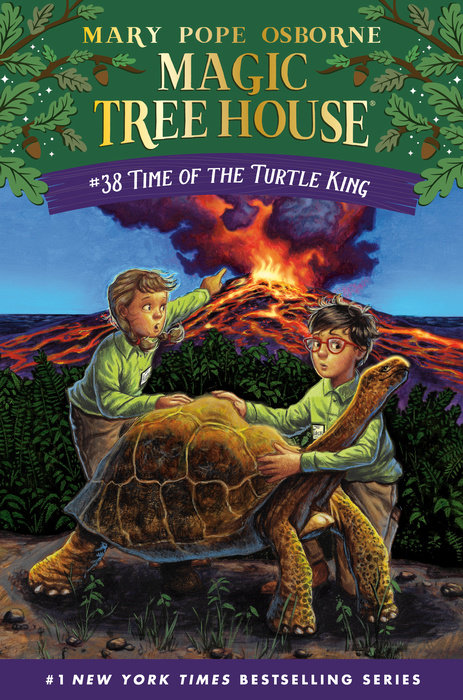 Cover of Time of the Turtle King