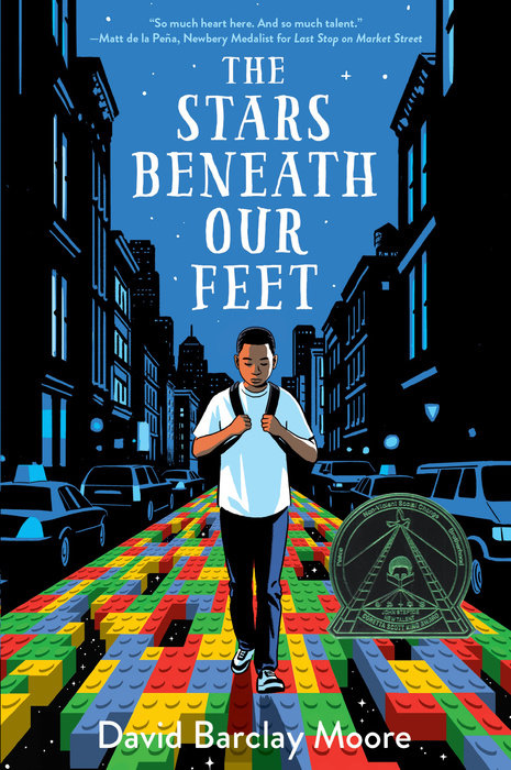 Book cover for The Stars Beneath Our Feet
