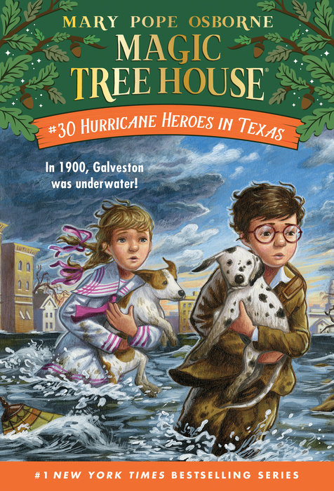 Cover of Hurricane Heroes in Texas