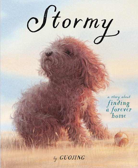 Book cover for Stormy