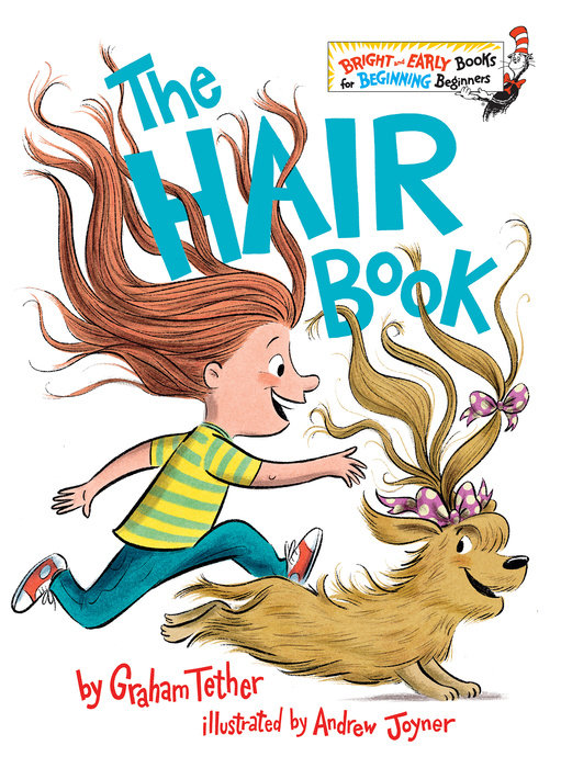 Cover of The Hair Book