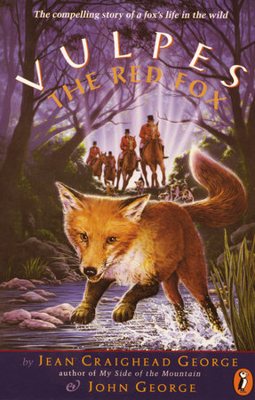 Vulpes, the Red Fox
