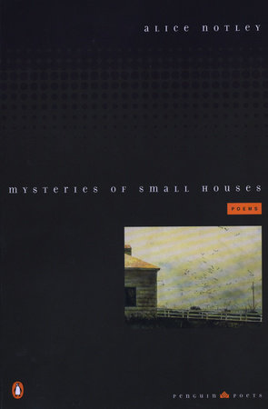 Mysteries of Small Houses