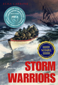 Cover of Storm Warriors cover