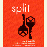 Cover of Split cover