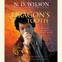 Cover of The Dragon\'s Tooth (Ashtown Burials #1) cover