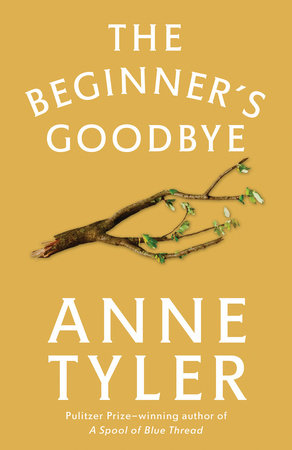 The Beginner's Goodbye book cover