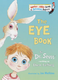 Book cover for The Eye Book