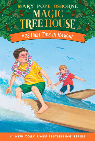 Book cover for High Tide in Hawaii