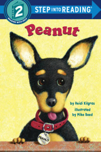 Book cover for Peanut