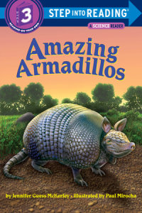 Book cover for Amazing Armadillos