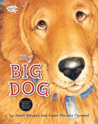 Cover of My Big Dog