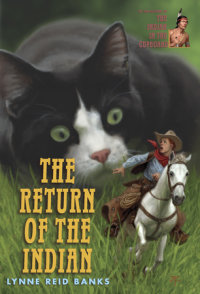 Book cover for The Return of the Indian
