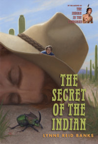 Book cover for The Secret of the Indian