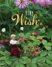 Book cover for The Tiny Wish