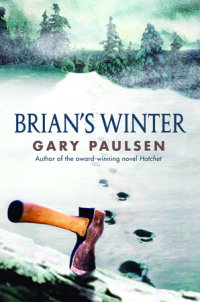 Cover of Brian\'s Winter cover