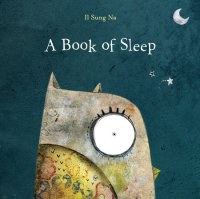 Book cover for A Book of Sleep