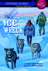 Book cover for Ice Wreck