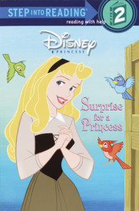 Book cover for Surprise for a Princess