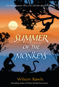Book cover for Summer of the Monkeys