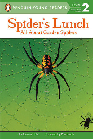 Spider's Lunch
