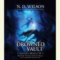 Cover of The Drowned Vault (Ashtown Burials #2) cover
