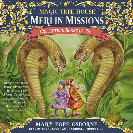 Merlin Missions Collection: Books 17-24