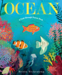 Book cover for Ocean: A Peek-Through Picture Book
