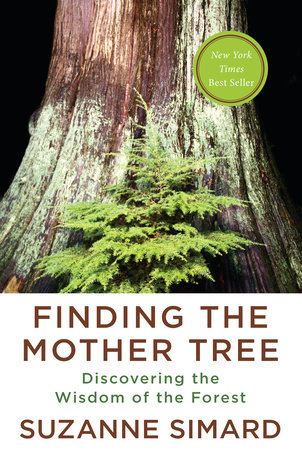 Cover image for Finding the Mother Tree