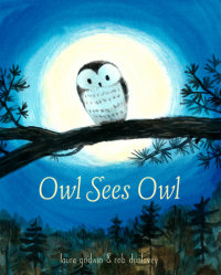 Book cover for Owl Sees Owl