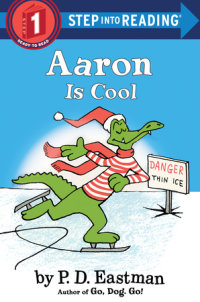 Book cover for Aaron is Cool