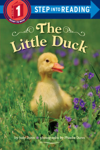 Book cover for The Little Duck