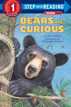 Bears Are Curious