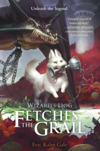 Book cover for The Wizard\'s Dog Fetches the Grail